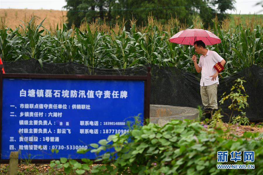 （防汛抗洪&middot;圖文互動）（1）&ldquo;險情不可怕，可怕的是不能及時發(fā)現(xiàn)險情&rdquo;&mdash;&mdash;洞庭湖巡堤查險現(xiàn)場直擊