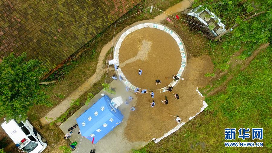 （防汛抗洪&middot;圖文互動）（2）&ldquo;險情不可怕，可怕的是不能及時發(fā)現(xiàn)險情&rdquo;&mdash;&mdash;洞庭湖巡堤查險現(xiàn)場直擊