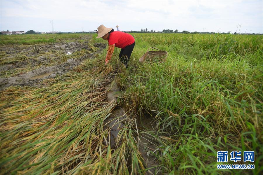 （新華全媒頭條&middot;圖文互動(dòng)）（13）為了人民群眾生命財(cái)產(chǎn)安全&mdash;&mdash;聚焦關(guān)鍵時(shí)期全國(guó)防汛抗洪工作