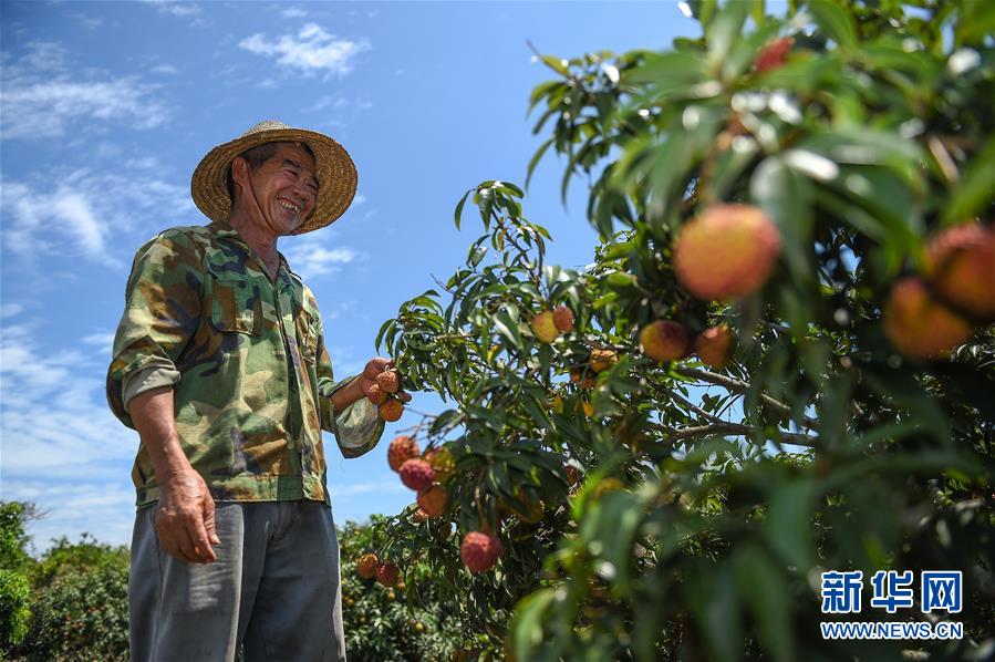 （新華全媒頭條&middot;走向我們的小康生活&middot;圖文互動(dòng)）（15）留住鄉(xiāng)愁留住美&mdash;&mdash;千村競(jìng)秀綴瓊州
