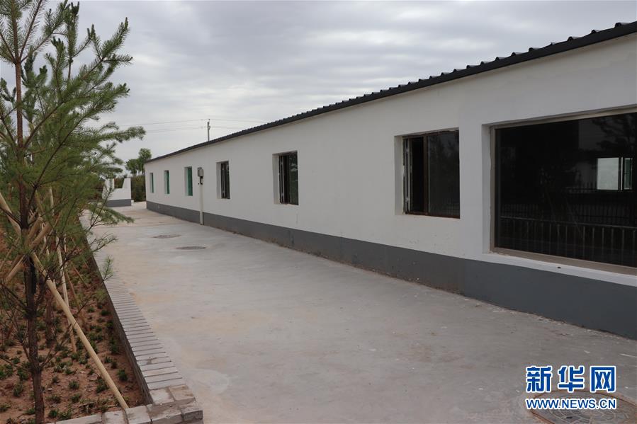 （鄉(xiāng)村振興&middot;圖文互動）（2）內(nèi)蒙古伊金霍洛旗：自家生豬基地養(yǎng) 環(huán)境好來收入旺