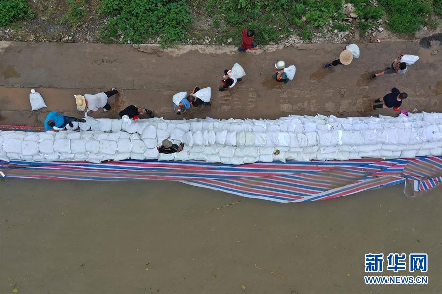 （新華全媒頭條&middot;圖文互動）（3）鏖戰(zhàn)江新洲