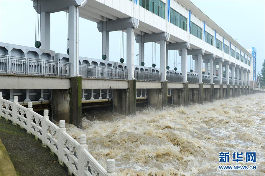 (防汛抗洪)(5)淮河王家壩閘開(kāi)閘泄洪 蒙洼蓄洪區(qū)啟用