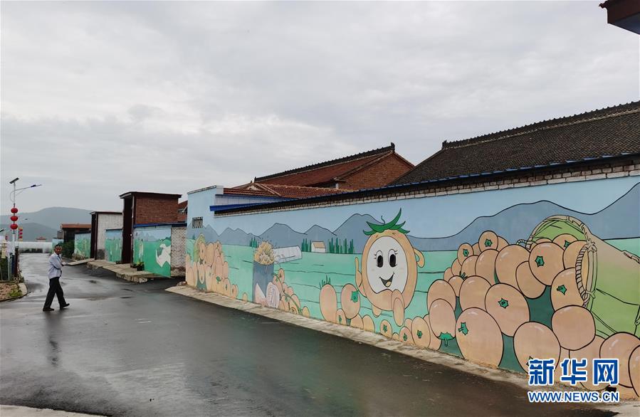 （決戰(zhàn)決勝脫貧攻堅(jiān)&middot;圖文互動(dòng)）（1）西紅柿小鎮(zhèn)的&ldquo;致富經(jīng)&rdquo;