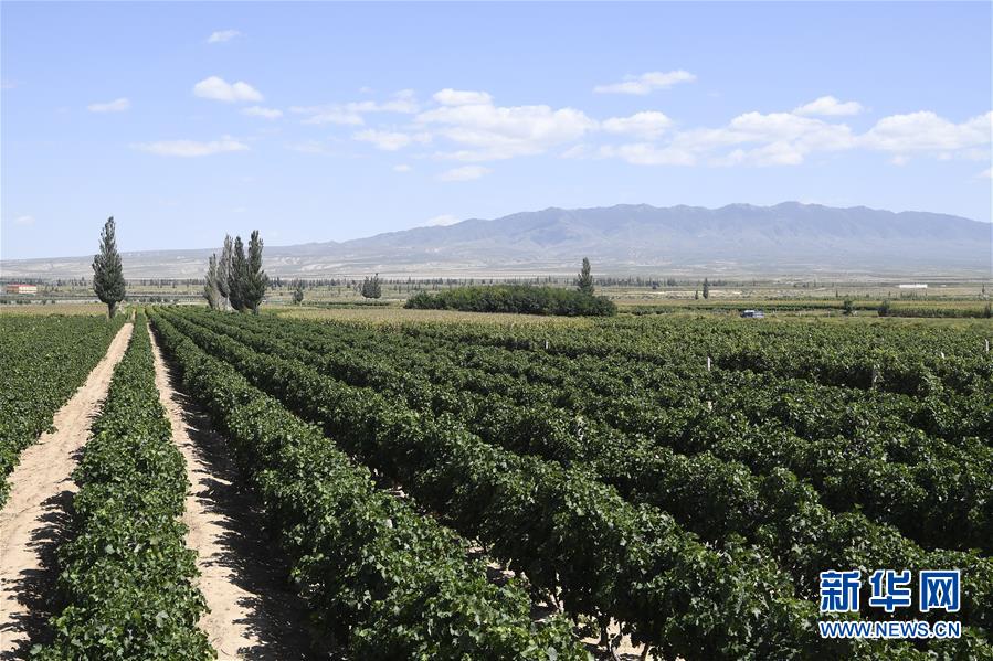 （新華全媒頭條&middot;走向我們的小康生活&middot;圖文互動）（9）23萬人的命運轉折&mdash;&mdash;我國最大易地生態(tài)移民安置區(qū)的脫貧密碼