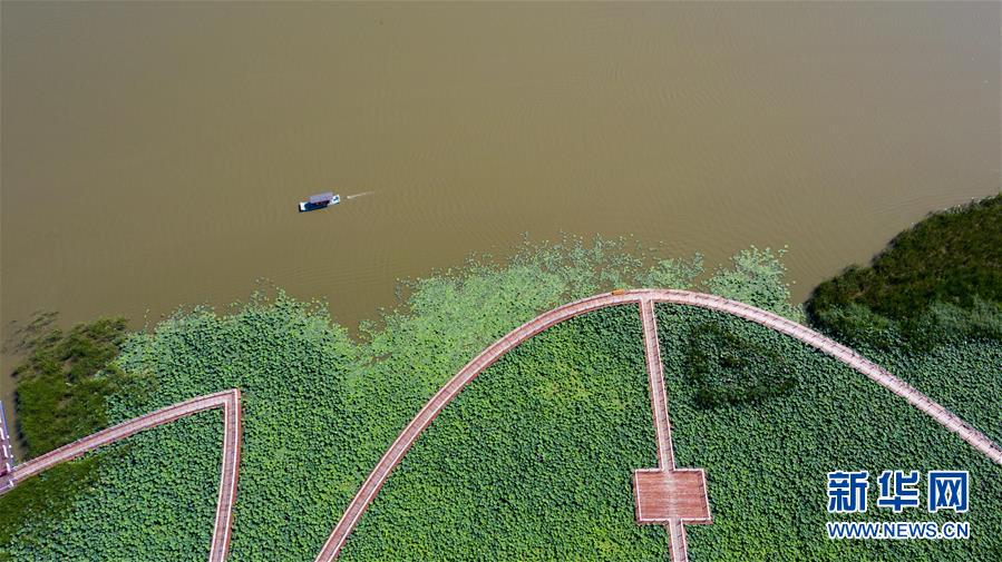 （在習(xí)近平新時(shí)代中國特色社會主義思想指引下&mdash;&mdash;新時(shí)代新作為新篇章&middot;習(xí)近平總書記關(guān)切事&middot;圖文互動）（8）綠色映底蘊(yùn)，山水見初心&mdash;&mdash;生態(tài)優(yōu)先、綠色發(fā)展持續(xù)造福群眾美好生活