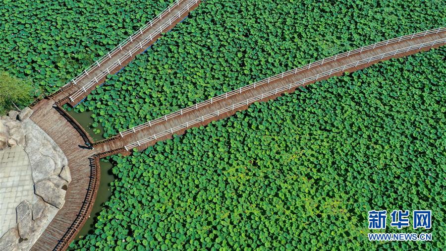 （在習(xí)近平新時(shí)代中國特色社會主義思想指引下&mdash;&mdash;新時(shí)代新作為新篇章&middot;習(xí)近平總書記關(guān)切事&middot;圖文互動）（9）綠色映底蘊(yùn)，山水見初心&mdash;&mdash;生態(tài)優(yōu)先、綠色發(fā)展持續(xù)造福群眾美好生活