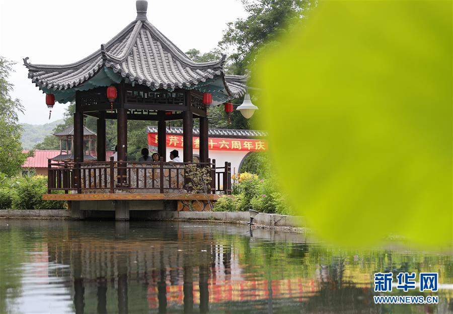 （走向我們的小康生活&middot;圖文互動）（3）從&ldquo;遼寧藍&rdquo;到&ldquo;花果山&rdquo;&mdash;&mdash;遼寧推進生態(tài)文明建設(shè)剪影