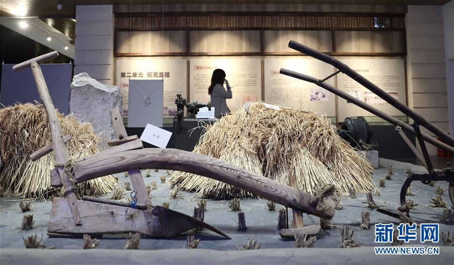 (新華全媒頭條·走向我們的小康生活·圖文互動)(10)“南大荒”變“稻蟹鄉(xiāng)”——資源枯竭型城市盤錦的鄉(xiāng)村振興之路