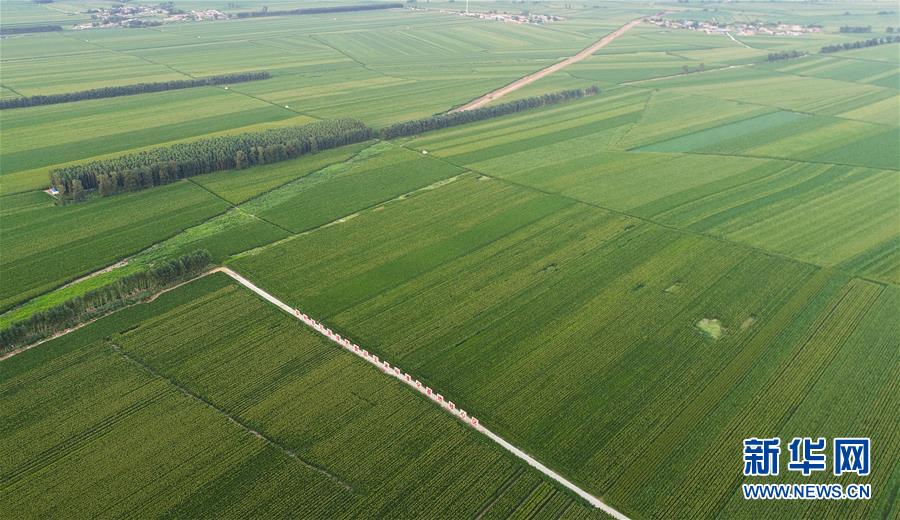 （在習近平新時代中國特色社會主義思想指引下&mdash;&mdash;新時代新作為新篇章&middot;習近平總書記關切事&middot;圖文互動）（2）為黑土加&ldquo;油&rdquo;&mdash;&mdash;&ldquo;耕地中的大熊貓&rdquo;，我們這樣保護