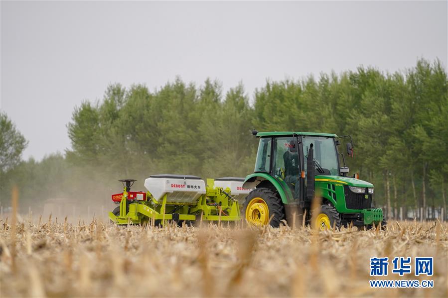 （在習近平新時代中國特色社會主義思想指引下&mdash;&mdash;新時代新作為新篇章&middot;習近平總書記關切事&middot;圖文互動）（7）為黑土加&ldquo;油&rdquo;&mdash;&mdash;&ldquo;耕地中的大熊貓&rdquo;，我們這樣保護