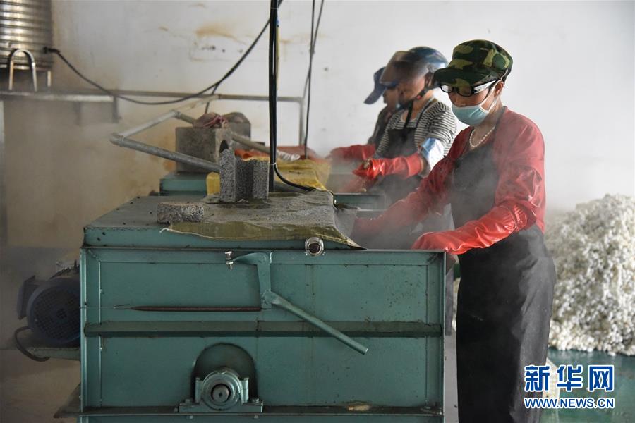 (決戰(zhàn)決勝脫貧攻堅(jiān)·圖文互動(dòng))(2)“江南繅絲”喀斯特深山扎根記