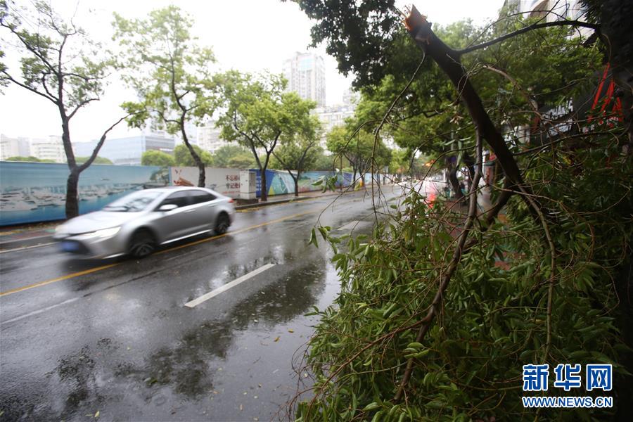 #（環(huán)境）（10）臺風(fēng)&ldquo;米克拉&rdquo;登陸福建