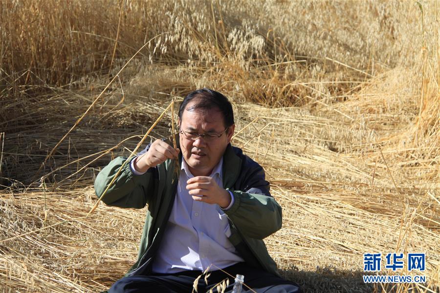 （新時代擔(dān)當(dāng)作為典型&middot;圖文互動）（1）草地生態(tài)專家趙新全：情深不舍三江源