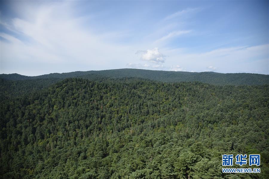 （鄉(xiāng)村振興&middot;圖文互動）守護小興安嶺的&ldquo;綠色明珠&rdquo;