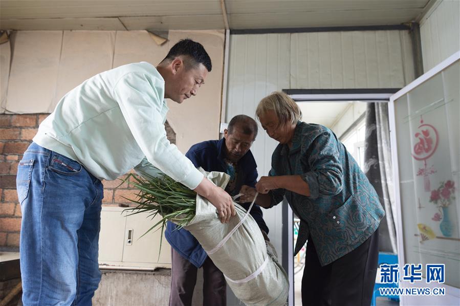 （決戰(zhàn)決勝脫貧攻堅(jiān)&middot;圖文互動(dòng)）（5）老張的菜園