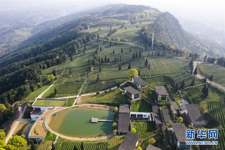 （新華全媒頭條&middot;走向我們的小康生活&middot;圖文互動(dòng)）（3）大城大鄉(xiāng)的&ldquo;幸福協(xié)奏曲&rdquo;&mdash;&mdash;重慶推動(dòng)高質(zhì)量發(fā)展創(chuàng)造高品質(zhì)生活紀(jì)事