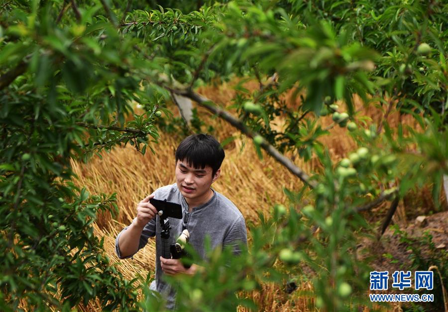 （新華全媒頭條&middot;走向我們的小康生活&middot;圖文互動(dòng)）（8）大城大鄉(xiāng)的&ldquo;幸福協(xié)奏曲&rdquo;&mdash;&mdash;重慶推動(dòng)高質(zhì)量發(fā)展創(chuàng)造高品質(zhì)生活紀(jì)事