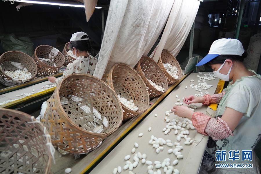 （走向我們的小康生活&middot;圖文互動）（1）綠了青山，紅了日子&mdash;&mdash;秦巴山區(qū)群眾繪出小康&ldquo;調(diào)色板&rdquo;