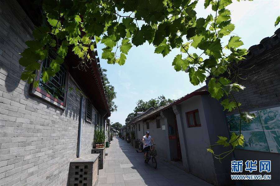（走向我們的小康生活&middot;圖文互動(dòng)）（1）小橋、流水、書(shū)香、人家&mdash;&mdash;老北京胡同里的恬靜棲居