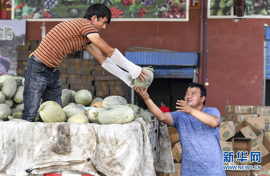 （決戰(zhàn)決勝脫貧攻堅&middot;圖文互動）（2）&ldquo;窮&rdquo;鄉(xiāng)富戶的販瓜生意經
