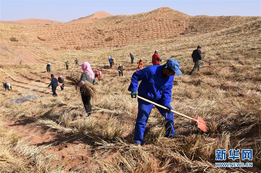 （新華全媒頭條&middot;走向我們的小康生活&middot;圖文互動）（6）&ldquo;苦甲&rdquo;不再，&ldquo;甘味&rdquo;綿長&mdash;&mdash;脫貧攻堅的甘肅味道