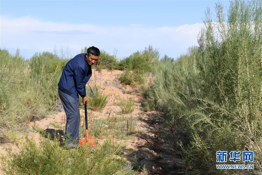 （新華全媒頭條&middot;走向我們的小康生活&middot;圖文互動）（8）&ldquo;苦甲&rdquo;不再，&ldquo;甘味&rdquo;綿長&mdash;&mdash;脫貧攻堅的甘肅味道