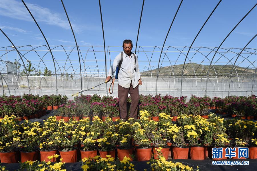 （新華全媒頭條&middot;走向我們的小康生活&middot;圖文互動）（10）&ldquo;苦甲&rdquo;不再，&ldquo;甘味&rdquo;綿長&mdash;&mdash;脫貧攻堅的甘肅味道