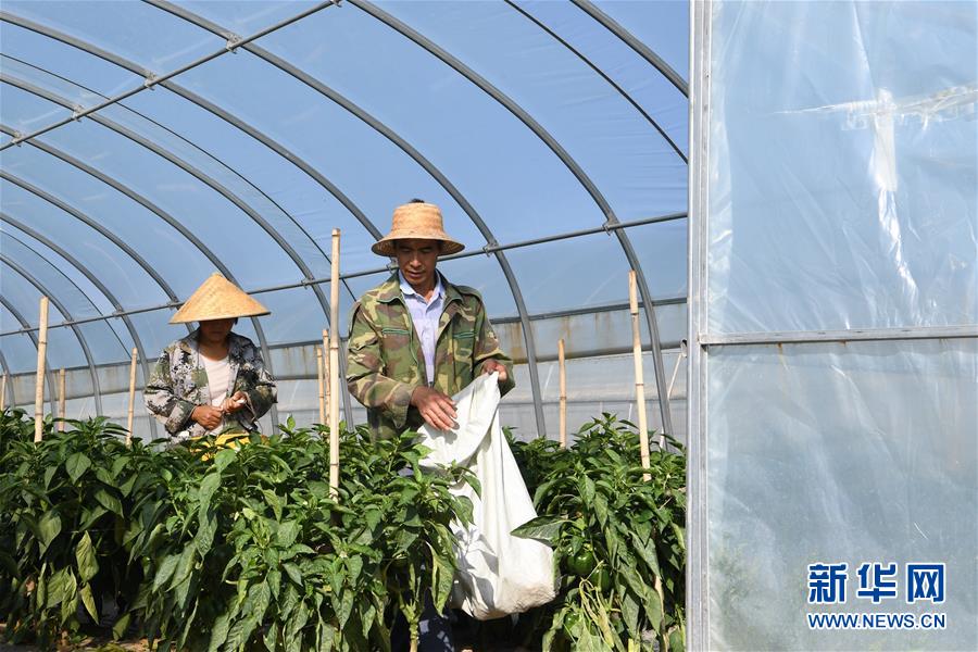 （走向我們的小康生活&middot;圖文互動(dòng)）（1）&ldquo;荒涼&rdquo;土地掘金記&mdash;&mdash;甘肅旱作農(nóng)業(yè)發(fā)展&ldquo;變奏曲&rdquo;