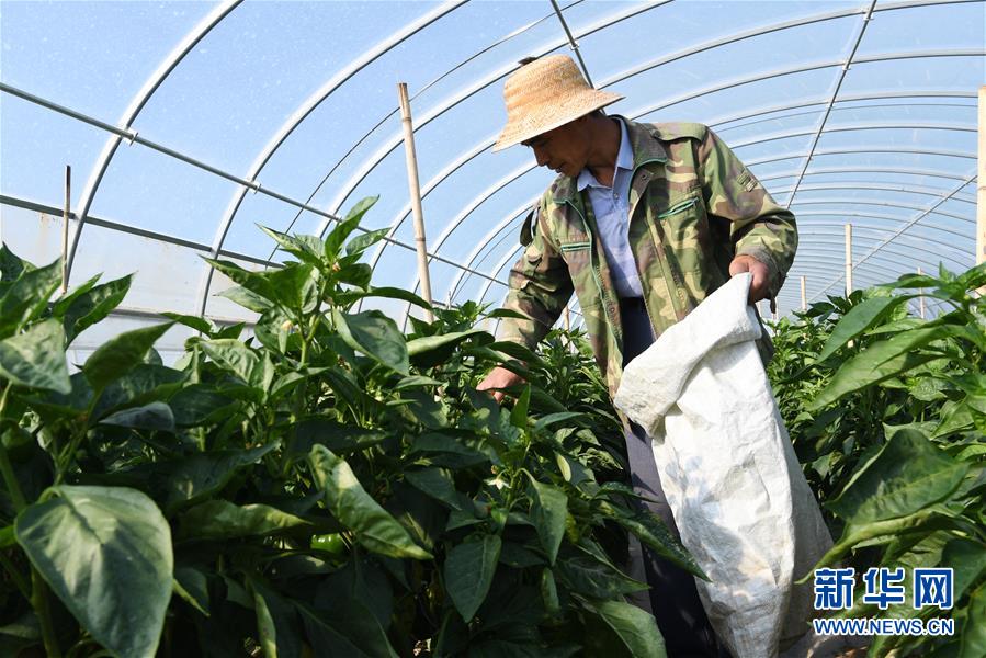 （走向我們的小康生活&middot;圖文互動(dòng)）（2）&ldquo;荒涼&rdquo;土地掘金記&mdash;&mdash;甘肅旱作農(nóng)業(yè)發(fā)展&ldquo;變奏曲&rdquo;