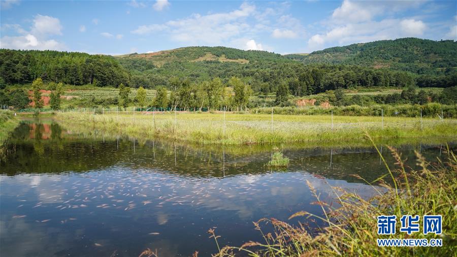 （新華全媒頭條&middot;決戰(zhàn)決勝脫貧攻堅&middot;督戰(zhàn)未摘帽貧困縣&middot;圖文互動）（4）苦蕎花開大涼山&mdash;&mdash;四川7個未摘帽縣脫貧攻堅一線觀察