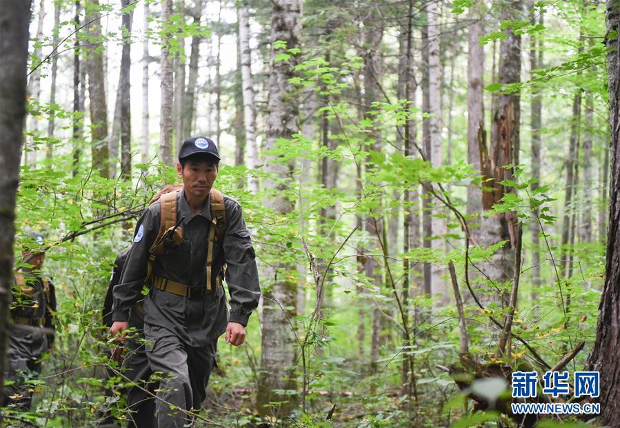 (圖文互動(dòng))(1)長白山60年書寫“生態(tài)答卷”