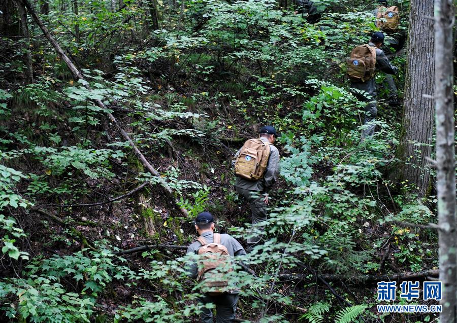 (圖文互動(dòng))(2)長白山60年書寫“生態(tài)答卷”