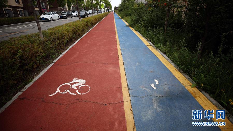 (圖文互動(dòng))(9)長白山60年書寫“生態(tài)答卷”