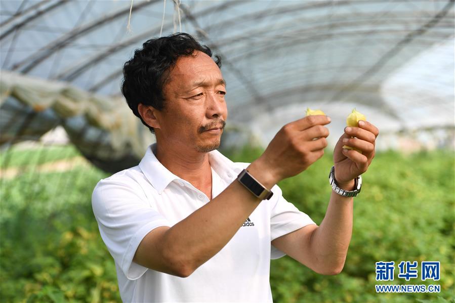 （新華全媒頭條&middot;走向我們的小康生活&middot;圖文互動）（7）黑土地上是我家&mdash;&mdash;在吉林，一瞥中國東北鄉(xiāng)村美麗未來