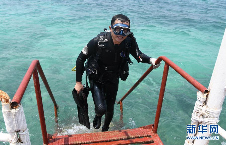 （在習近平新時代中國特色社會主義思想指引下&mdash;&mdash;新時代新作為新篇章&middot;習近平總書記關(guān)切事&middot;圖文互動）（5）終不悔為國為民，攀高峰只爭朝夕&mdash;&mdash;來自科學家們的動人故事