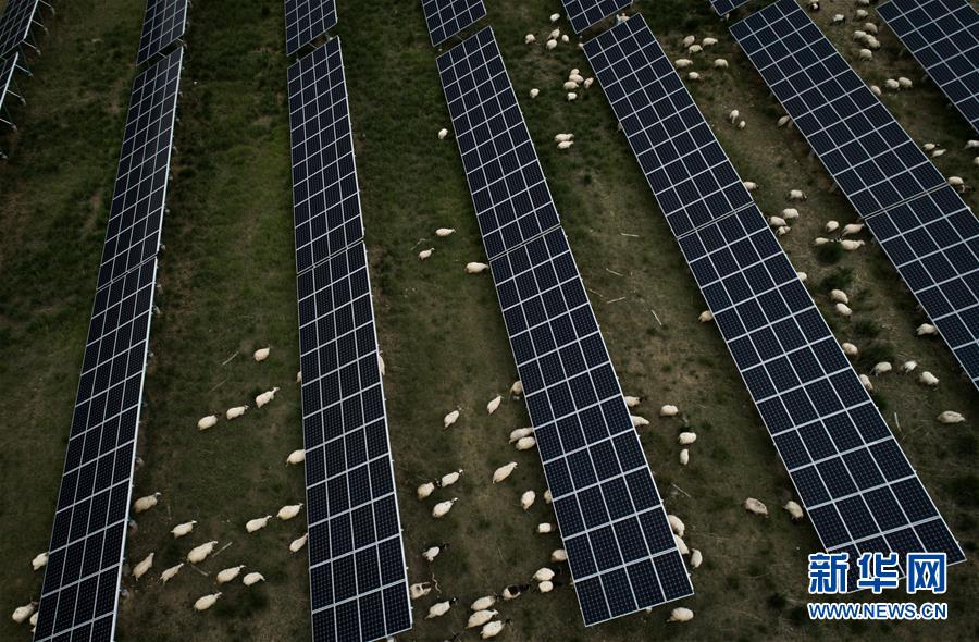 （新華全媒頭條&middot;走向我們的小康生活&middot;決戰(zhàn)決勝脫貧攻堅(jiān)&middot;圖文互動(dòng)）（3）高原上綻放的光芒&mdash;&mdash;來(lái)自青海攻克深度貧困堡壘的故事