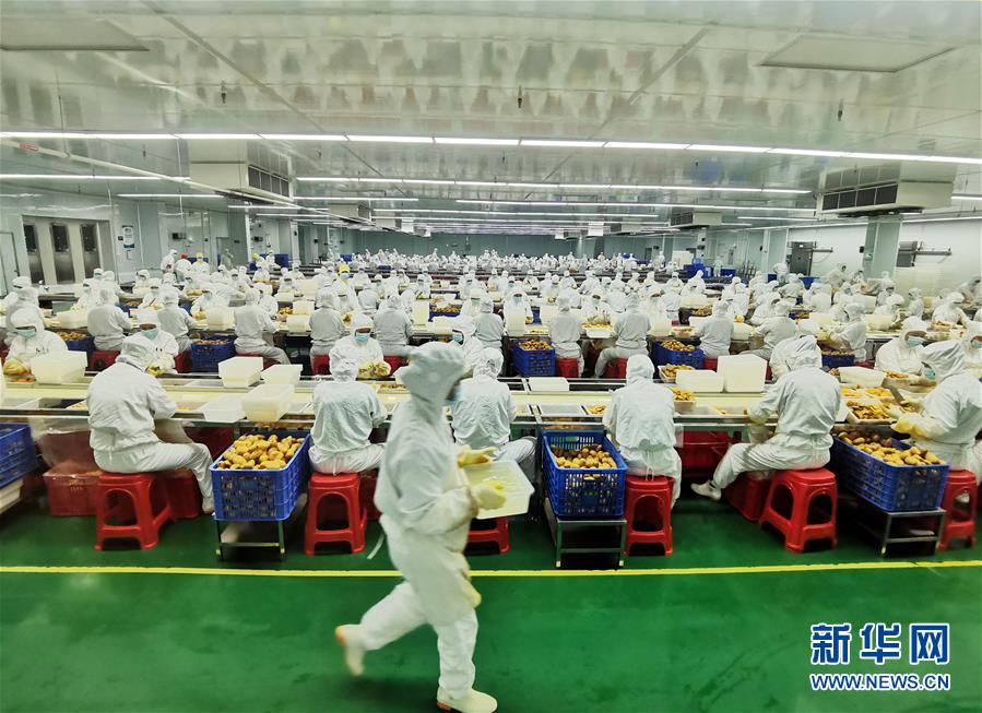 （決戰(zhàn)決勝脫貧攻堅&middot;圖文互動）（8）同飲一江水 攜手&ldquo;斬窮根&rdquo;&mdash;&mdash;深圳對口廣西河池、百色扶貧協(xié)作見聞