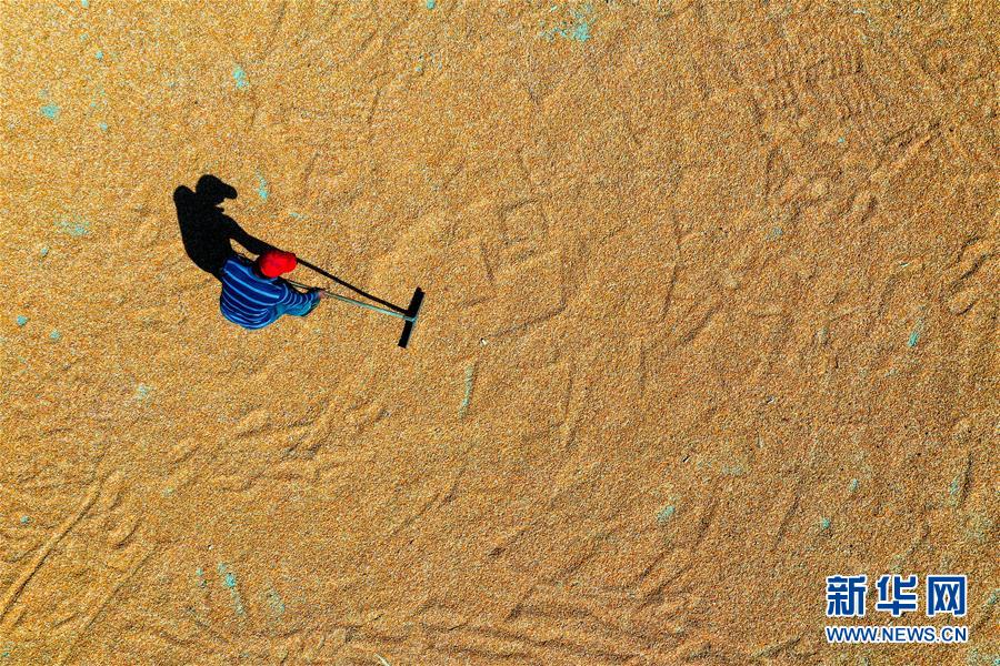 （新華全媒頭條&middot;圖文互動）（6）天道酬勤的大地贊歌&mdash;&mdash;寫在第三個中國農(nóng)民豐收節(jié)之際