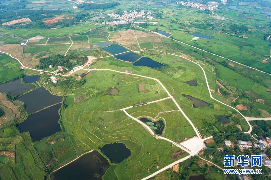 （新華全媒頭條&middot;走向我們的小康生活&middot;圖文互動(dòng)）（1）特殊之年，荊楚大地書寫不平凡的答卷