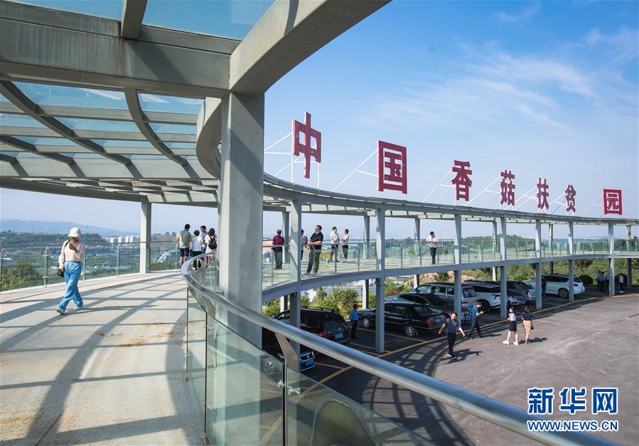 （新華全媒頭條&middot;走向我們的小康生活&middot;圖文互動(dòng)）（2）特殊之年，荊楚大地書寫不平凡的答卷