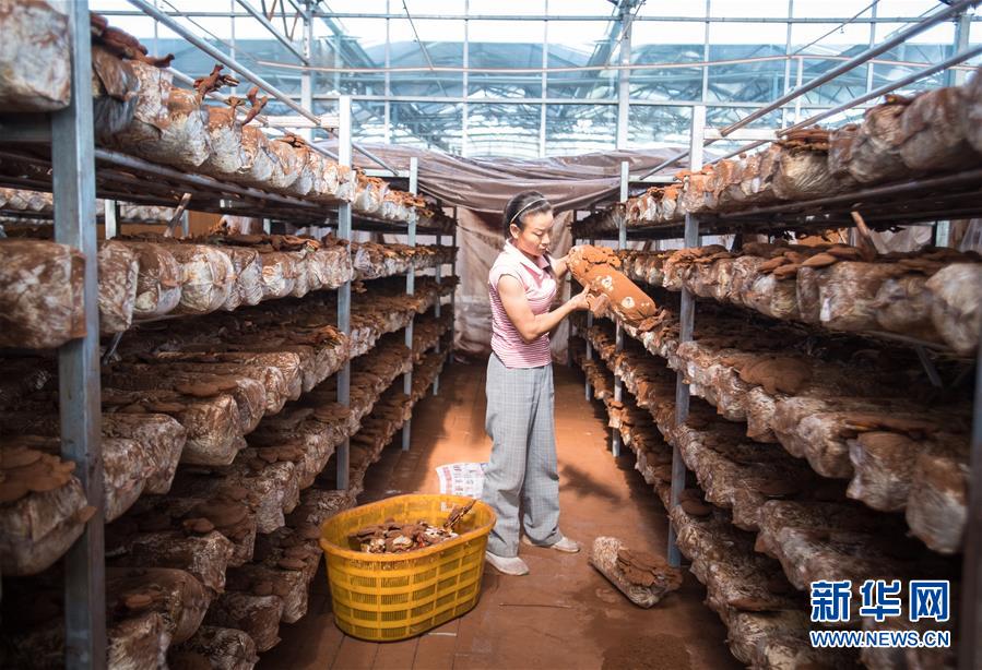 （新華全媒頭條&middot;走向我們的小康生活&middot;圖文互動(dòng)）（3）特殊之年，荊楚大地書寫不平凡的答卷