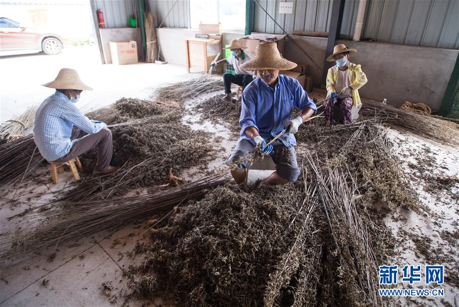 （新華全媒頭條&middot;走向我們的小康生活&middot;圖文互動(dòng)）（10）特殊之年，荊楚大地書寫不平凡的答卷