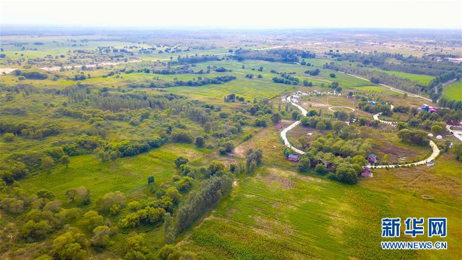 （在習近平新時代中國特色社會主義思想指引下&mdash;&mdash;新時代新作為新篇章&middot;習近平總書記關(guān)切事&middot;圖文互動）（1）綠意，在黃沙中鋪展&mdash;&mdash;我國防沙治沙紀實