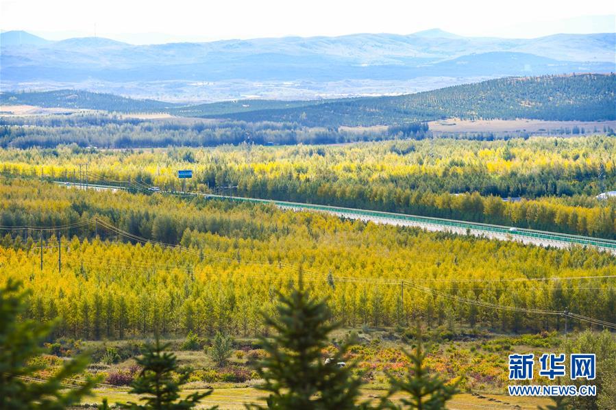 （在習近平新時代中國特色社會主義思想指引下&mdash;&mdash;新時代新作為新篇章&middot;習近平總書記關(guān)切事&middot;圖文互動）（7）綠意，在黃沙中鋪展&mdash;&mdash;我國防沙治沙紀實