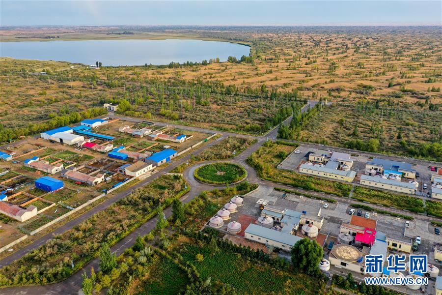 （在習近平新時代中國特色社會主義思想指引下&mdash;&mdash;新時代新作為新篇章&middot;習近平總書記關(guān)切事&middot;圖文互動）（12）綠意，在黃沙中鋪展&mdash;&mdash;我國防沙治沙紀實