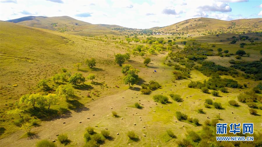 （在習近平新時代中國特色社會主義思想指引下&mdash;&mdash;新時代新作為新篇章&middot;習近平總書記關(guān)切事&middot;圖文互動）（4）綠意，在黃沙中鋪展&mdash;&mdash;我國防沙治沙紀實