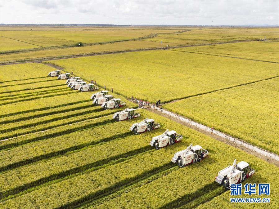 （新華全媒頭條&middot;圖文互動）（15）奮斗結(jié)碩果，再寫新篇章&mdash;&mdash;寫在共和國71周年華誕之際