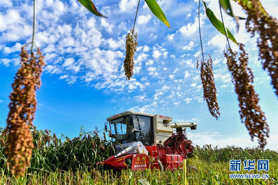 （新華全媒頭條&middot;圖文互動）（17）奮斗結(jié)碩果，再寫新篇章&mdash;&mdash;寫在共和國71周年華誕之際