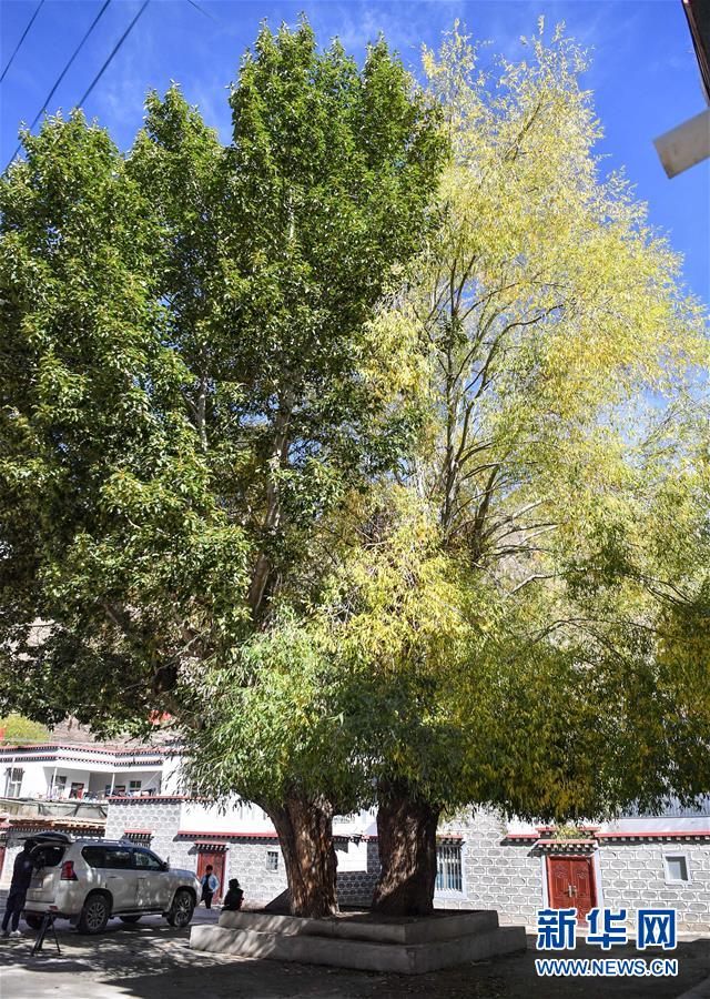 （圖文互動(dòng)）（2）歷史遺跡的述說&mdash;&mdash;西藏昌都源遠(yuǎn)流長(zhǎng)的民族團(tuán)結(jié)故事